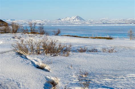 Myvatn lake and snow stock photo. Image of frozen, myvatn - 71586946