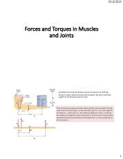 Forces And Torques In Muscles And Joints Pdf 03 10 2019 Forces And