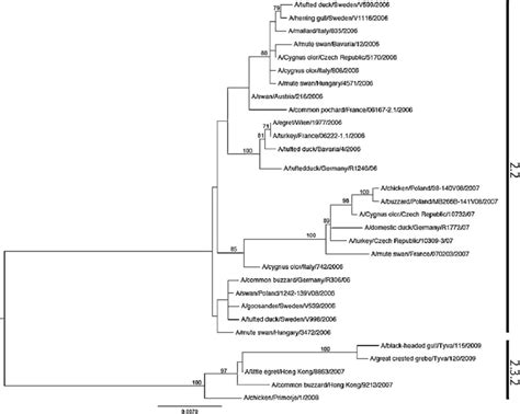 Maximum Likelihood Phylogenetic Tree For The HA Gene Segment Of