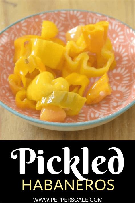 Pickled Habaneros Recipe With Video Pepperscale