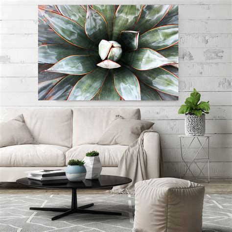 succulent wall art canvas  succulent ideas