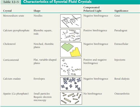 Urine Crystals Forms | Medical Laboratories