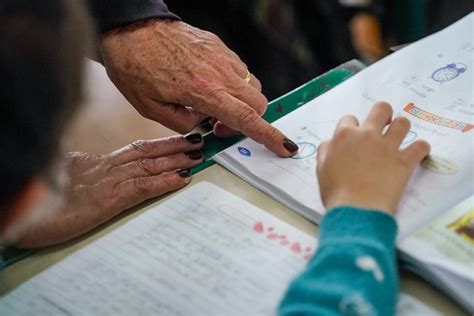 Governo Cria Bolsa Mensal Para Professores E Estudantes De Licenciatura