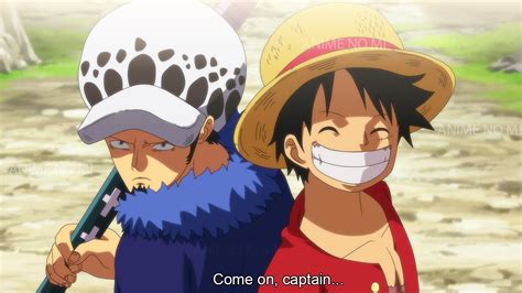 Law Asks To Join Luffy S Crew To Face Teach Again One Piece YouTube