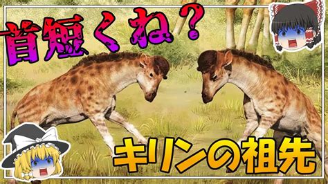 【キリンの進化】首が短いキリン？キリンの角は5本？～キリンの首が伸びた理由とは～ Youtube