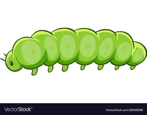 Caterpillar in green color Royalty Free Vector Image