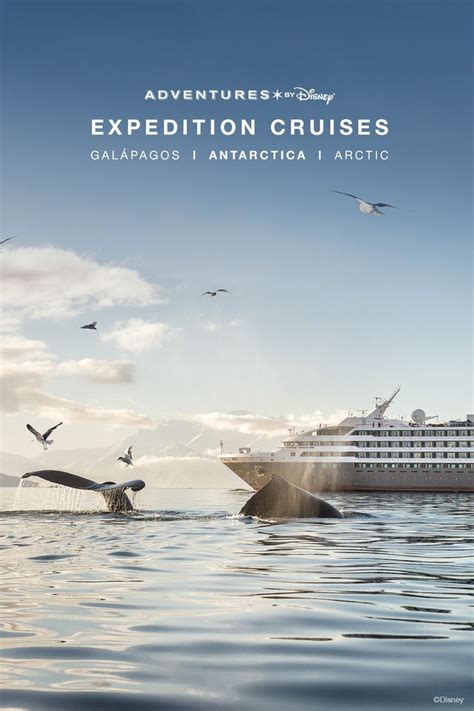 Antarctica Expedition Cruise + Buenos Aires Escape | Adventures by ...