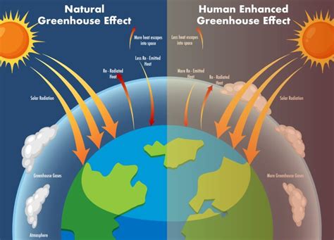 diagram showing  greenhouse effect royalty  vector