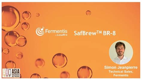 Mastering Fermentis SafBrew BR 8 YouTube