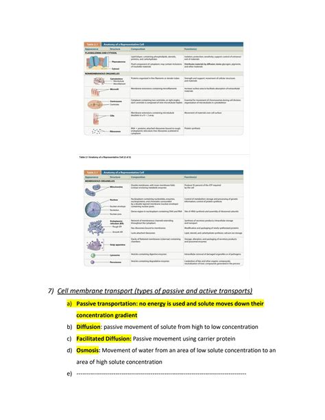 Solution Anatomy Final Study Guide Studypool