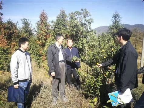 巩固精准扶贫成果，助力乡村产业发展咸宁市中心医院