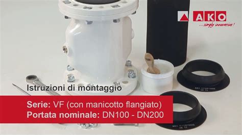 Istruzioni Di Montaggio Valvola A Manicotto Pneumatica Serie Vf