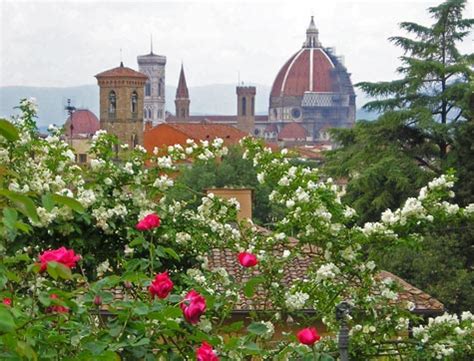 The Rose Garden near Piazzale Michelangelo - Florence Italy