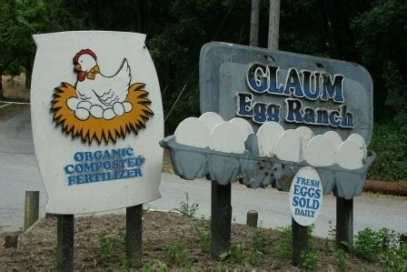 Glaum Egg Ranch in Aptos, California - Kid-friendly Attractions | Trekaroo