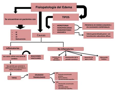 Edemas Y Linfedemas Mapa Conceptual Porn Sex Picture