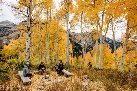 Leaf Peeping Adventures Near Salt Lake City • Salt Lake Magazine Utah