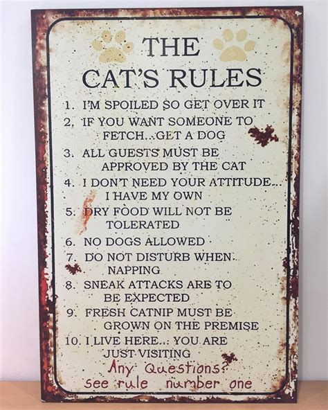 The Cats Rules Wooden Hanging Plaque Cat Owner Hilarious Etsy