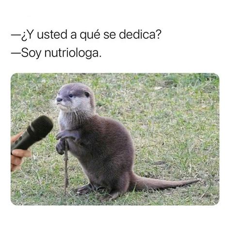 Y Usted A Qu Se Dedica Soy Nutri Loga Memes