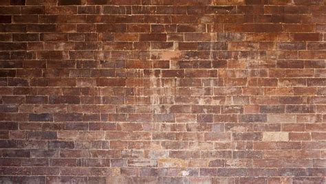 The meaning and symbolism of the word - «Wall»