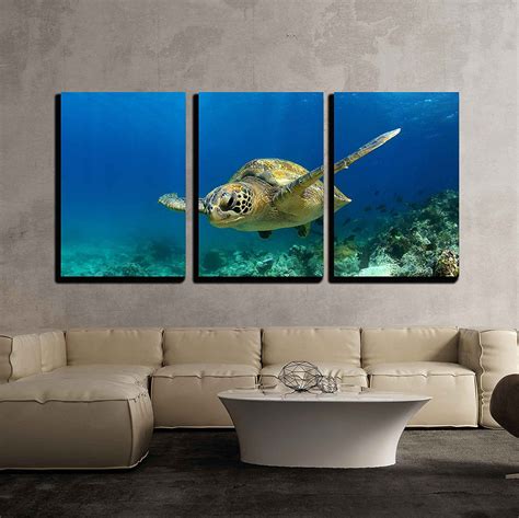 Buy Wall Piece Canvas Wall Art Green Sea Turtle Swimming