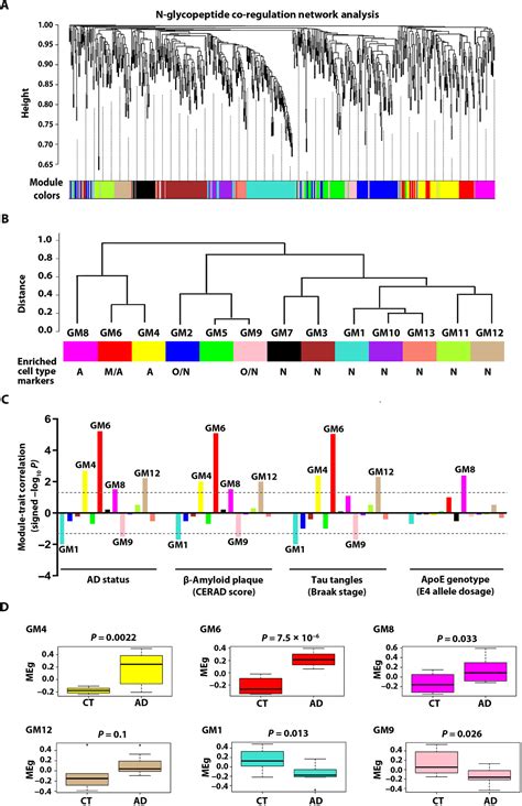 Integrative Glycoproteomics Reveals Protein N Glycosylation Aberrations