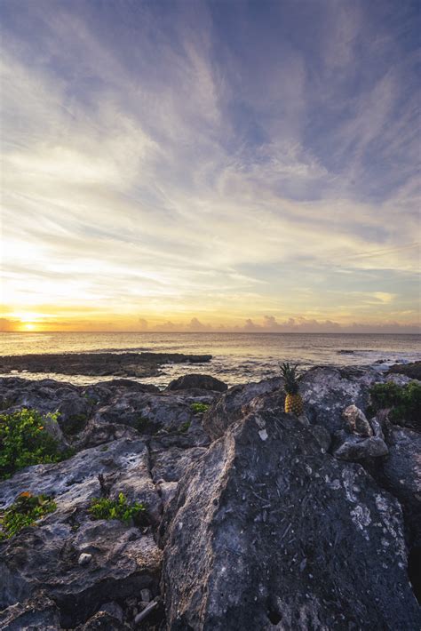 Kostenlose foto Landschaft Meer Küste Baum Natur Rock Ozean