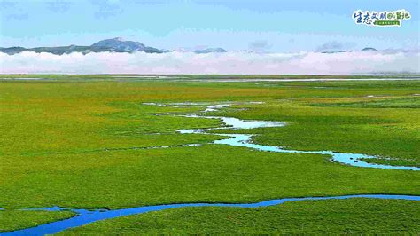 【生态文明湿地】甘肃湿地绘丹青央广网