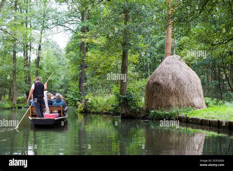 Bootstour Auf Einem Fluss Im Spreewald Fotos Und Bildmaterial In