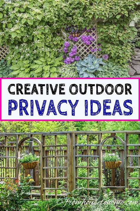 Best Backyard Privacy Ideas at Samantha Keegan blog