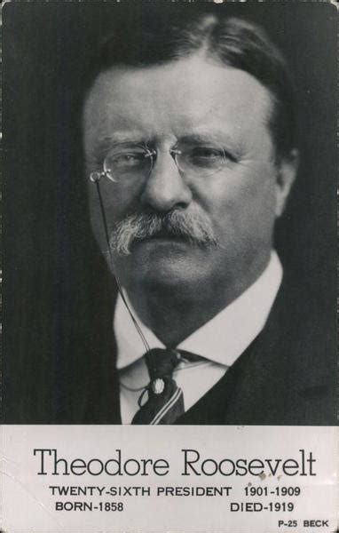 Theodore Roosevelt Twenty Sixth President 1901 1909 Postcard