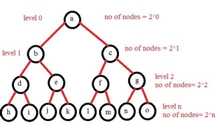 Maximum Number Of Leaf Nodes In Binary Tree Infoupdate Org