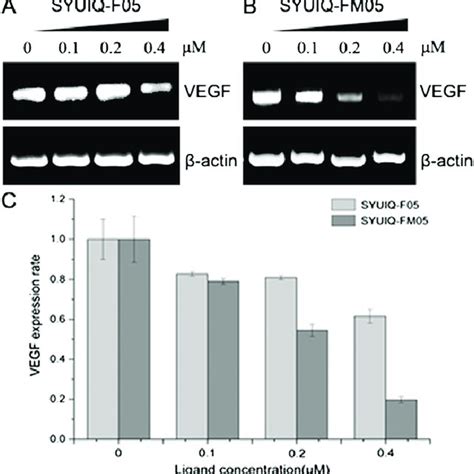 The G Rich Sequences In The Vegf Promoter And Its Proposed Role In