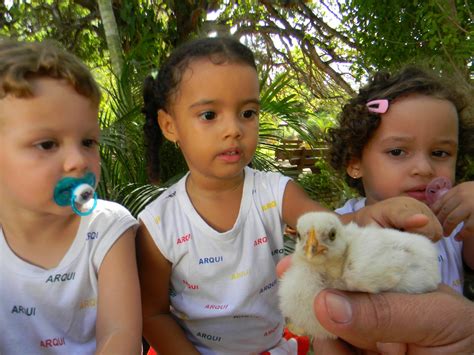 Projeto Cheirinho De Mato Oficinas No Cheirinho De Mato Declara O