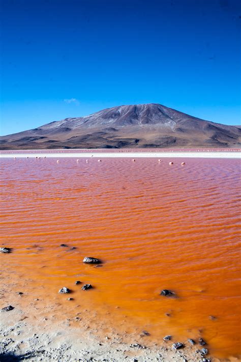 Bolivia S Salar De Uyuni Day Salt Flat Tour Choosing Figs