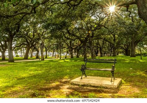 Charleston Battery Park Bench Stock Photo (Edit Now) 697542424