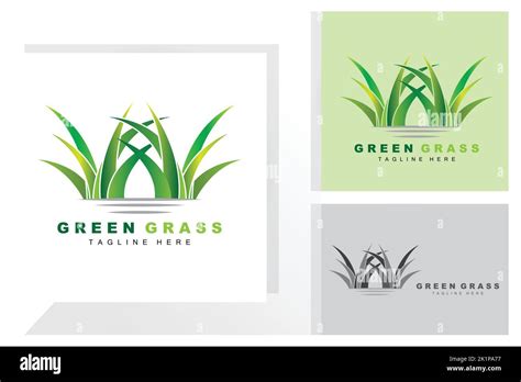 Logo Green Grass Illustration Du Paysage Agricole Vecteur De Paysage