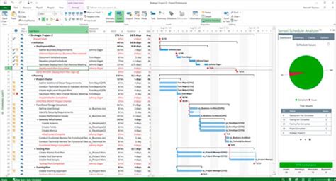 Cem Microsoft Project