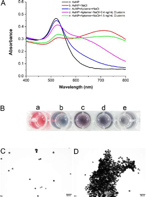 A UVvis Absorption Spectra Of AuNPs Under Different Experimental