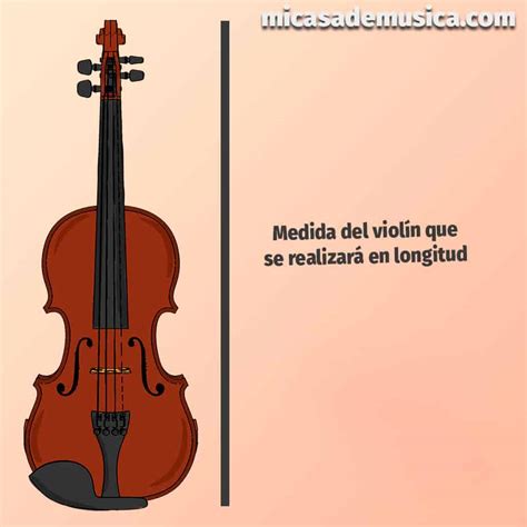 Qué Medida de Violín Para Niños Debo Comprar MiCasaDeMusica