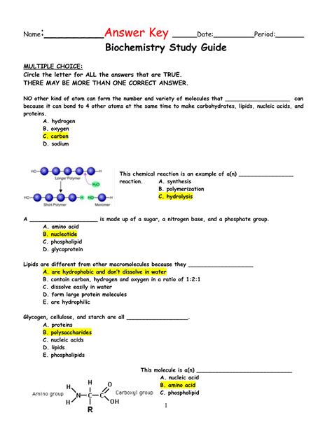 Biochemistry Exam Questions And Answers Solution Biochemist