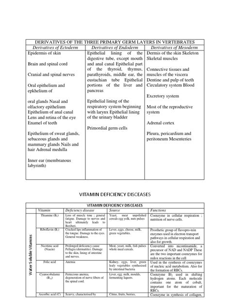 Derivatives of Germ Layers in Vertebrates | Epithelium | Zoology
