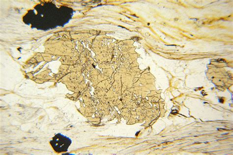 Staurolite Garnet Mica Schist Wissahickon Usa Thin Section Microscope