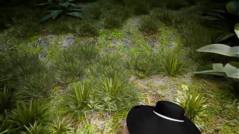 Vídeos en la selva XVIDEOS