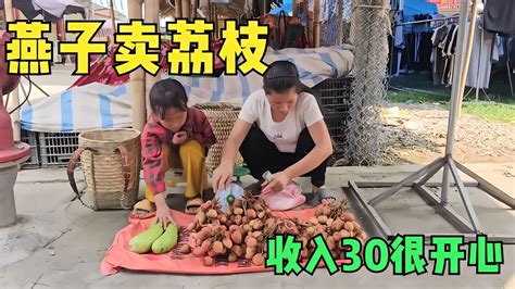 燕子到集市賣荔枝收獲30元很開心直接讓小花去買零食吃 荒野求生 荒野独居 求生挑战 生存挑战 荒野 YouTube