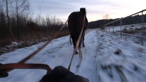 Schlitten Fahren Mit Den Pferden Outtakes Youtube