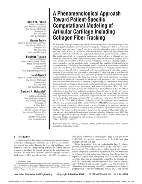 PDF A Phenomenological Approach Toward Patient Specific Computational