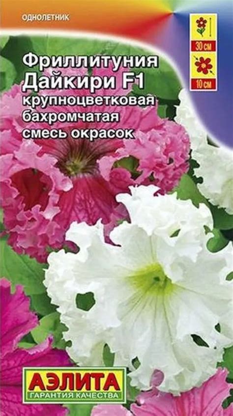 Фриллитуния Дайкири Аэлита