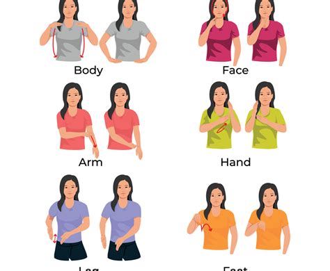 Body Sign Language Vector Art Graphics Freevector