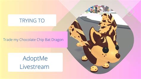 Trying To Trade Chocolate Chip Bat Dragon In AdoptMe YouTube