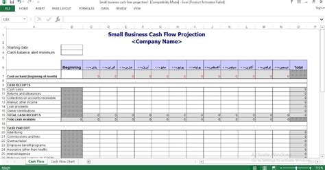 Daily Business Cash Flow Template Excel